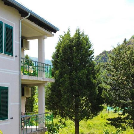 Agroturizem Hotel Vila Franceze Koman Eksteriør bilde