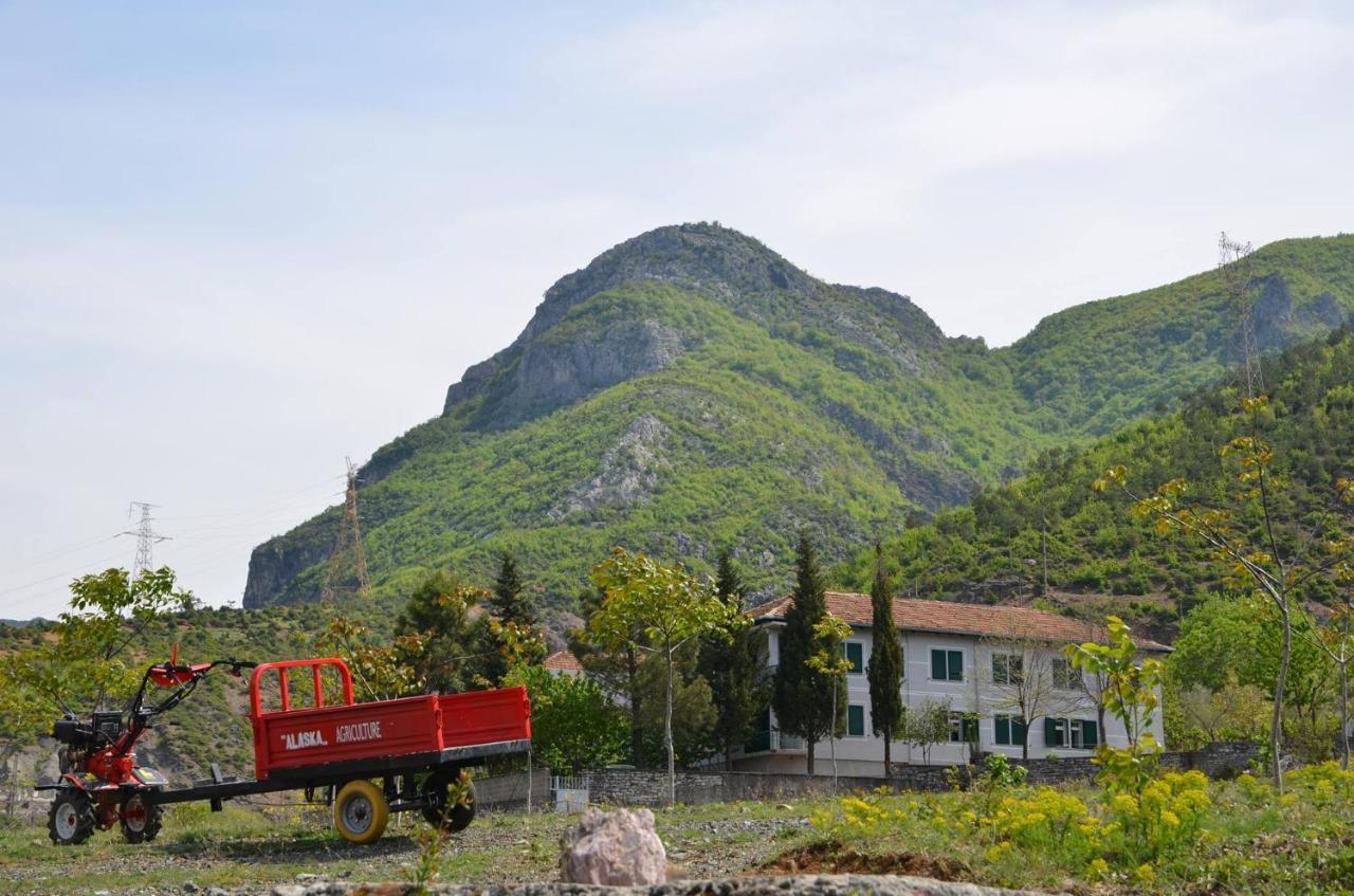 Agroturizem Hotel Vila Franceze Koman Eksteriør bilde