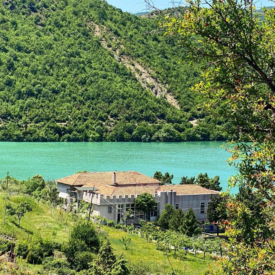 Agroturizem Hotel Vila Franceze Koman Eksteriør bilde